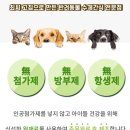 초이펫 네이버블로그