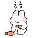 김포레코드 이미지