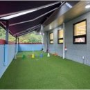 리치펫하우스 이미지