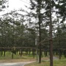 내장산워터파크 이미지