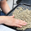 바리스타 브루잉 자격과정 이미지