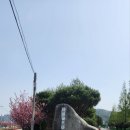 단심골프랜드 이미지