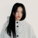 데일리 피쉬 이미지