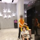 에스휠 | 초경량유모차 휴대용유모차 와이업 지니에스2 솔직 후기