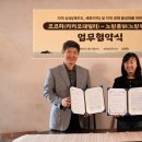 노랑제주 이미지