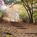 샛터근린공원 이미지