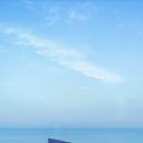 미아니아 이미지