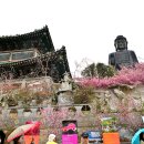 남미륵사 이미지