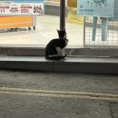 지에스25 익산사랑점 이미지