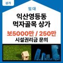 영등동-61 이미지