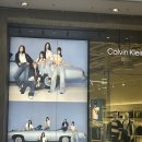 동그란 멍멍이 | 카자흐스탄 알마티 여행 일기