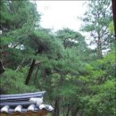 석천 이미지