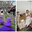 (주)가자항공여행사 이미지