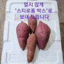 《꿀"고구마"》햇 감자.두입.못난이.이찌 하루까.호풍미.밤고구마 판매 이미지