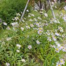 포항영흥초등학교 이미지