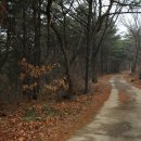 황사1교 이미지