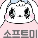 소프트미 부산연산점