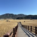 순천만습지 쉼터 화장실 네이버블로그