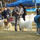 성환축산 이미지