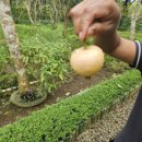 에이아그로 이미지