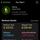 뽈레뽈레 이미지