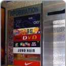 날라리공룡노래연습장 이미지