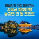 해설사가 직접 들려주는 `경복궁 별빛야행` 놓치면 안 될 포인트! 이미지