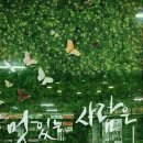 석정문학관 Daum카페