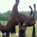 키이스케이프우주라이크