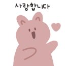 보쉬 영우상사 이미지