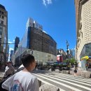 탑메디슨코리아 | 뉴욕 여행, 뉴욕 고시티패스 강추! 10군데 입장 무료!(내돈내산 패스)