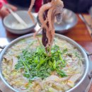 밀양향교작은도서관 | 밀양 향교 매화 명소 실시간 개화 상황 근처 맛집