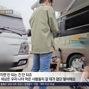 불법 캠핑족의 논리 이미지