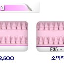 더예쁜 속눈썹 Daum카페