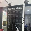 퍼그몽 이미지