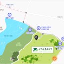 세종 오즈 Daum카페