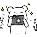 소낙스카케어수원