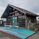 프렌즈동물병원 | 제주도 아기랑 갈만한곳 동물원 애월 새별프렌즈 솔직후기
