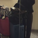 다산미술관 | 서유럽 패키지 여행 9일차 이탈리아 로마 바티칸 미술관 웨이팅 내돈내산 솔직 후기