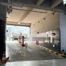 테이스팅독 이미지