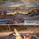 안하마을 이미지