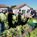 훈훈 농장 이미지