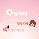 안산고잔동 1인미용실 봄헤어 안산헤어샵 숏단발 보브컷 추천