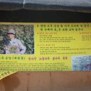 보아유황오리