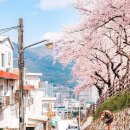 신동택지개발지구(사유지 제외 전 구간) | [2025.05.12 뉴스클리핑]