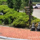 진안고원치유의숲 이미지