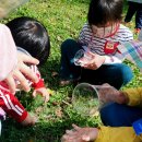 본아미강남어린이집 이미지