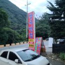 쌍곡반점 이미지