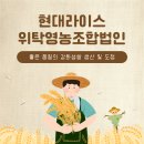 현대 라이스 위탁 영농조합법인 이미지