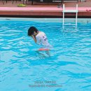 세모난나무2 이미지